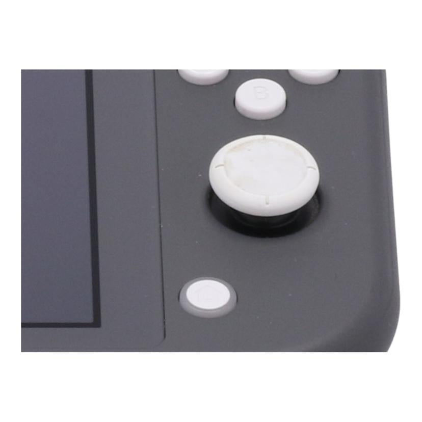 NINTENDO 任天堂/NINTENDO SWITCH LITE/HDH-S-GAZAA//902370542929/Bランク/19