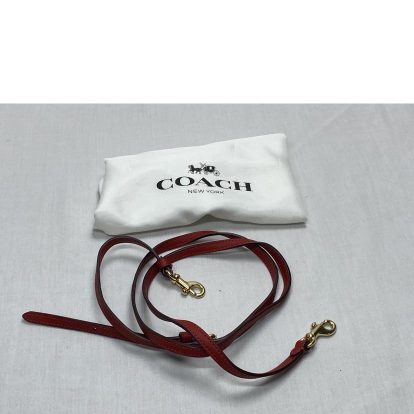 COACH/コーチドリーマー21/67021//J18**/ABランク/52