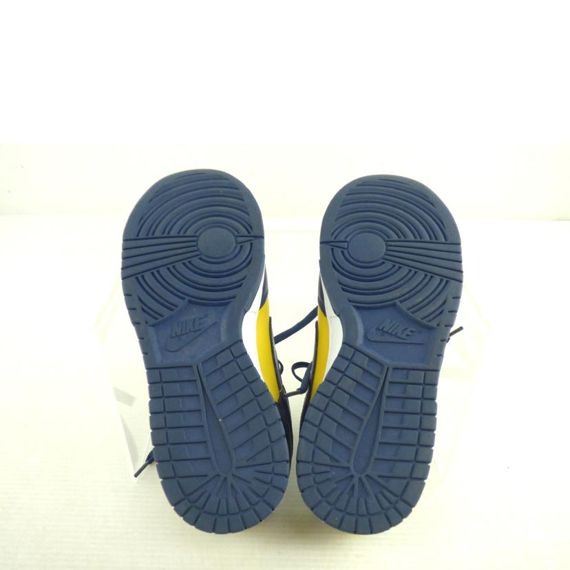 NIKE ナイキ/NIKE ダンクローレトロ/DD1391-700//ABランク/64