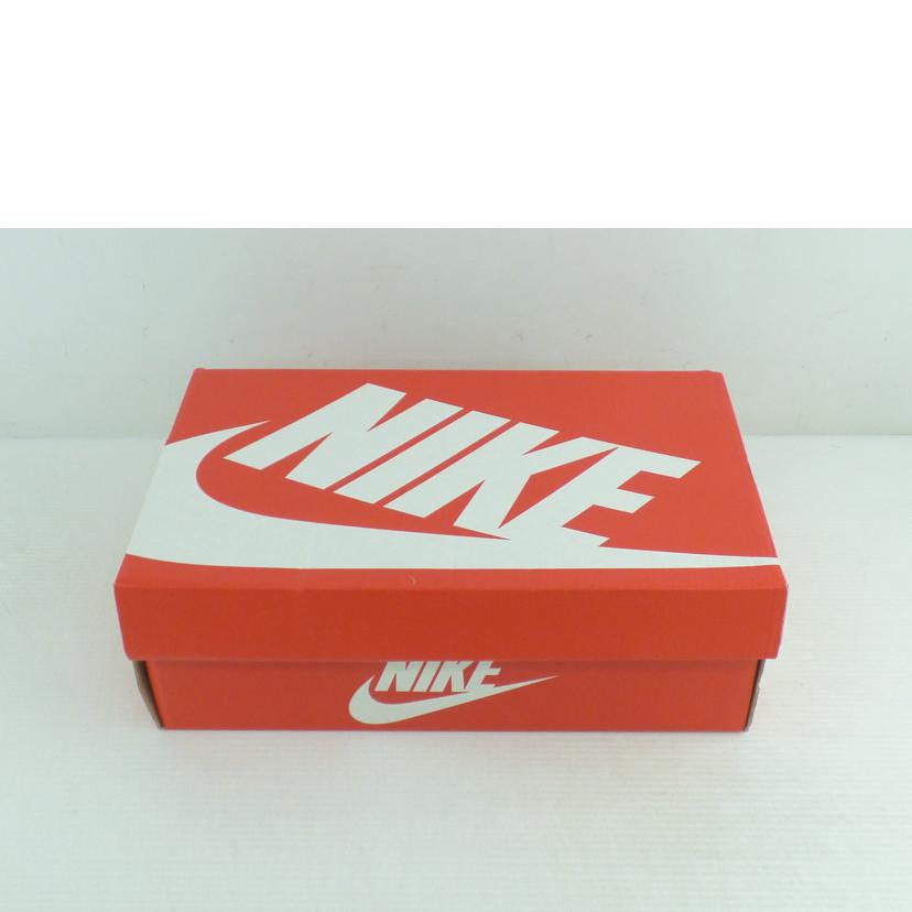 NIKE ナイキ/NIKE ダンクローレトロ/DD1391-700//ABランク/64