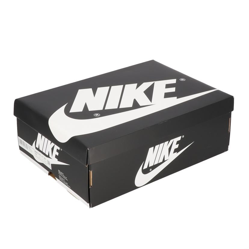NIKE ナイキ/AIR JORDAN 1 Retro High OG/DZ5485-010//00196975624065/Sランク/85