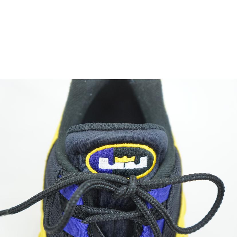 NIKE ナイキ/NIKE AIR MAX 95 NRG 28.0/CZ3624-001//ABランク/67