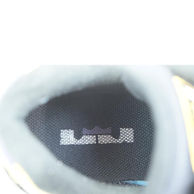 NIKE ナイキ/NIKE AIR MAX 95 NRG 28.0/CZ3624-001//ABランク/67