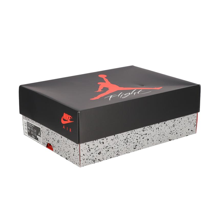 NIKE ナイキ/エアジョーダン4レトロ/FV5029-141//00197593871503/Sランク/85