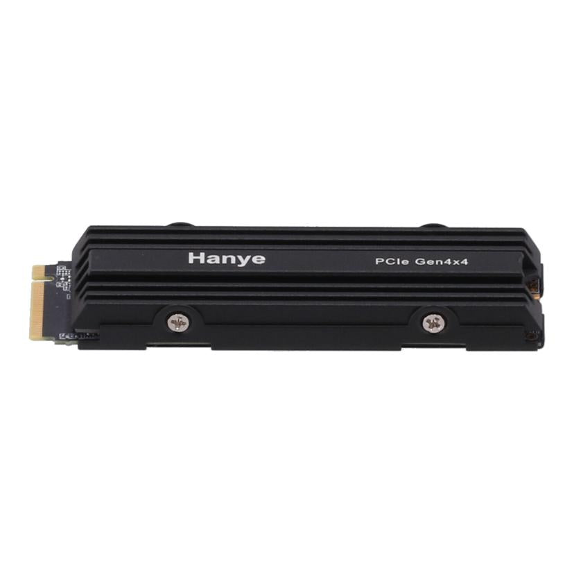 Hanye ハネ/M2 SSD 2TB/HE80-2TNLHS//096BHE8007D0074A/ABランク/09