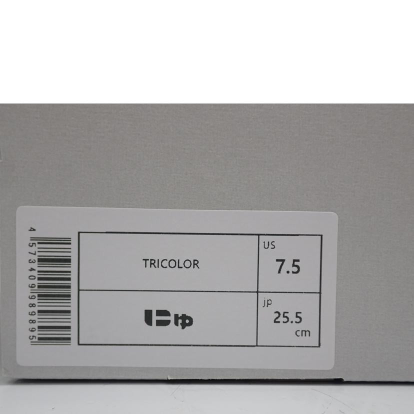 SANGACIO サンガッチョ/にゅ~ず 10周年 トリコロール スニーカー/TRICOLOR//25.5cm/Aランク/62