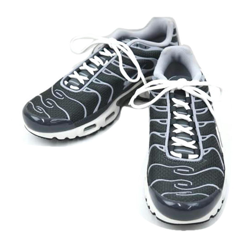 NIKE ナイキ/NIKE AIR MAX PLUS SE 26.0/DZ2655-001//Aランク/67