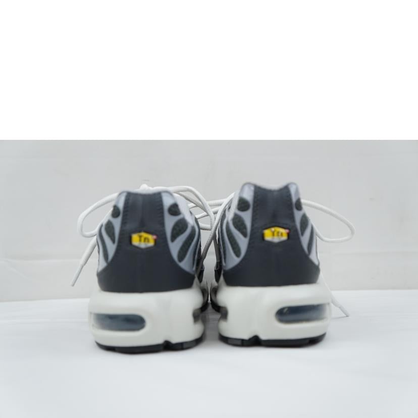 NIKE ナイキ/NIKE AIR MAX PLUS SE 26.0/DZ2655-001//Aランク/67