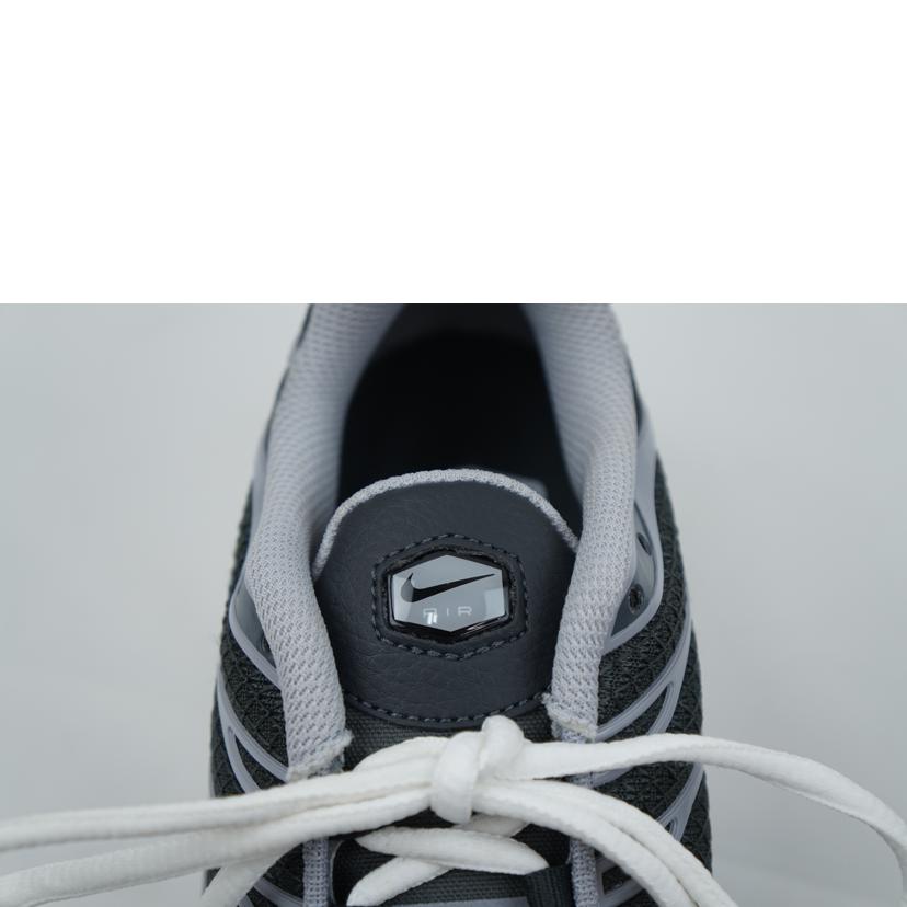 NIKE ナイキ/NIKE AIR MAX PLUS SE 26.0/DZ2655-001//Aランク/67