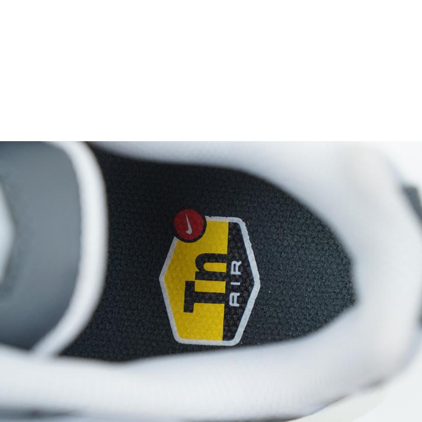 NIKE ナイキ/NIKE AIR MAX PLUS SE 26.0/DZ2655-001//Aランク/67