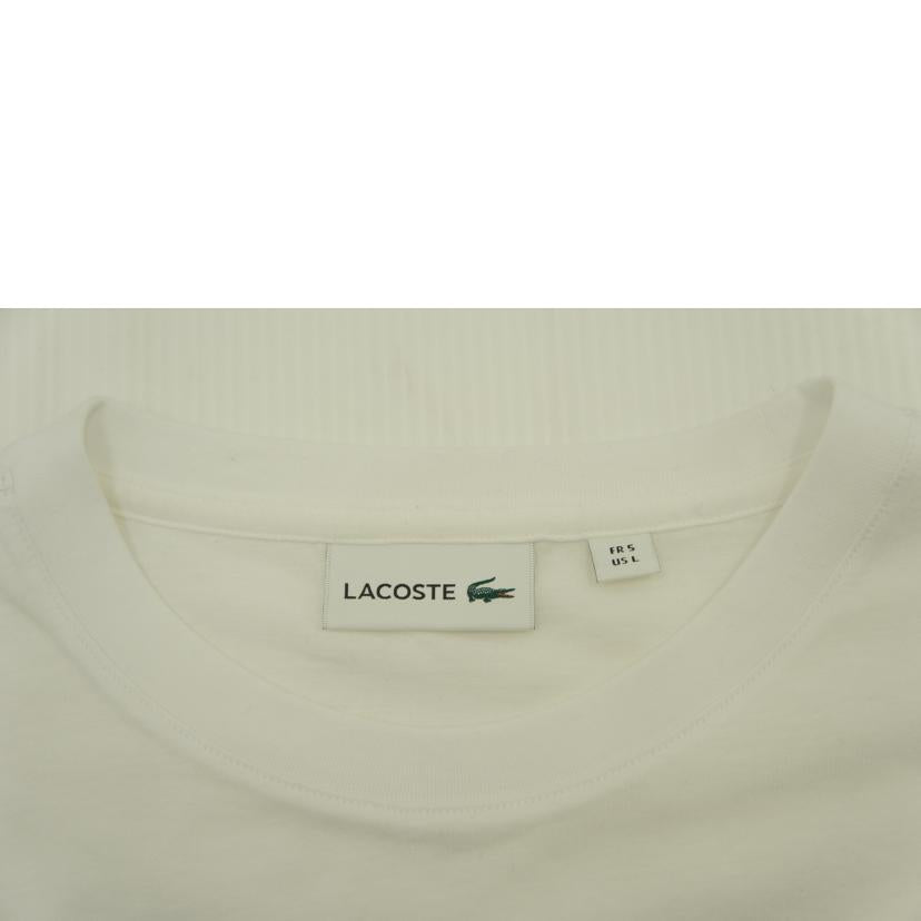 LACOSTE ラコステ/ロゴTシャツ//ABランク/85