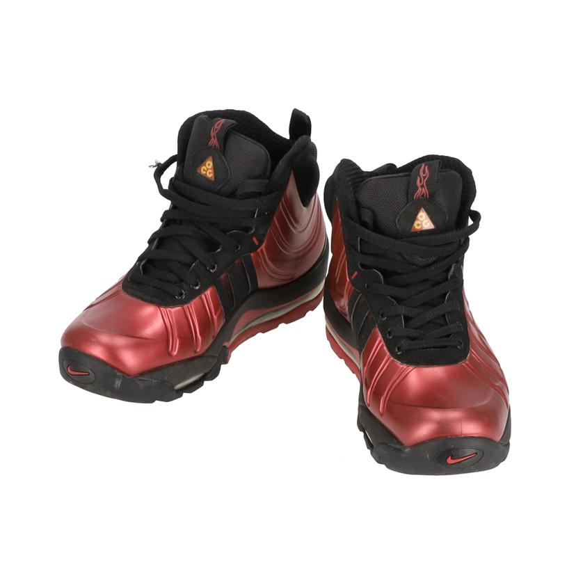 NIKE ナイキ/エア マックス ポジット/415327-600//00883412371391/Bランク/85