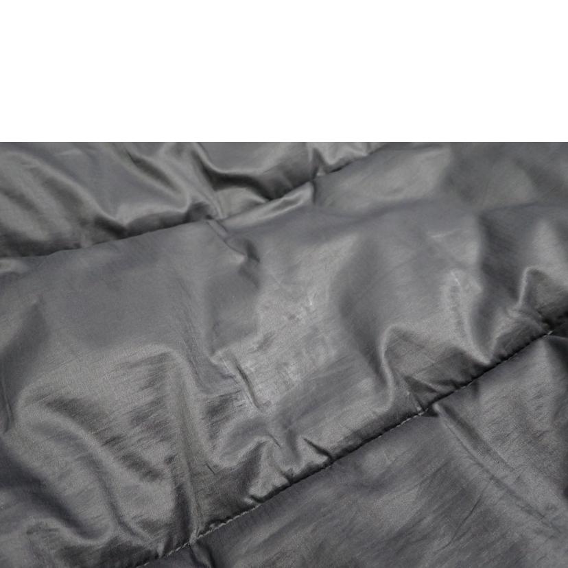 THE NORTH FACE THE NORTH FACE/★THE NORTH FACE ラークスパーjkt/NY82031//L/BCランク/62