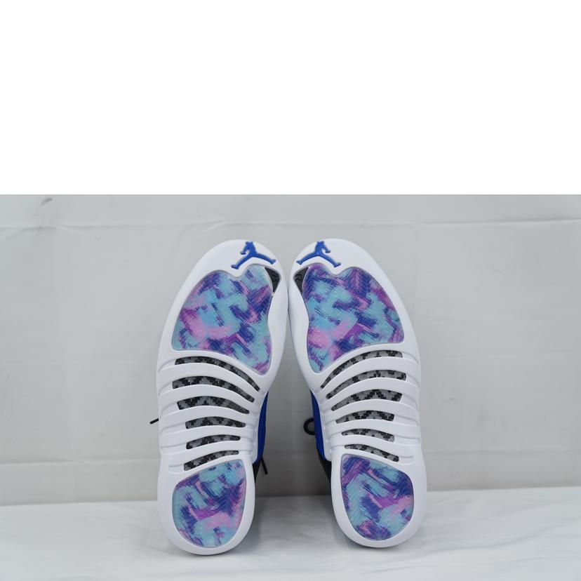 NIKE ナイキ/NIKE AIR JORDAN 12 RETRO 26.5/AO6068-004//Aランク/67
