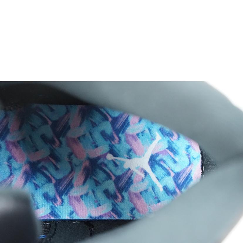 NIKE ナイキ/NIKE AIR JORDAN 12 RETRO 26.5/AO6068-004//Aランク/67