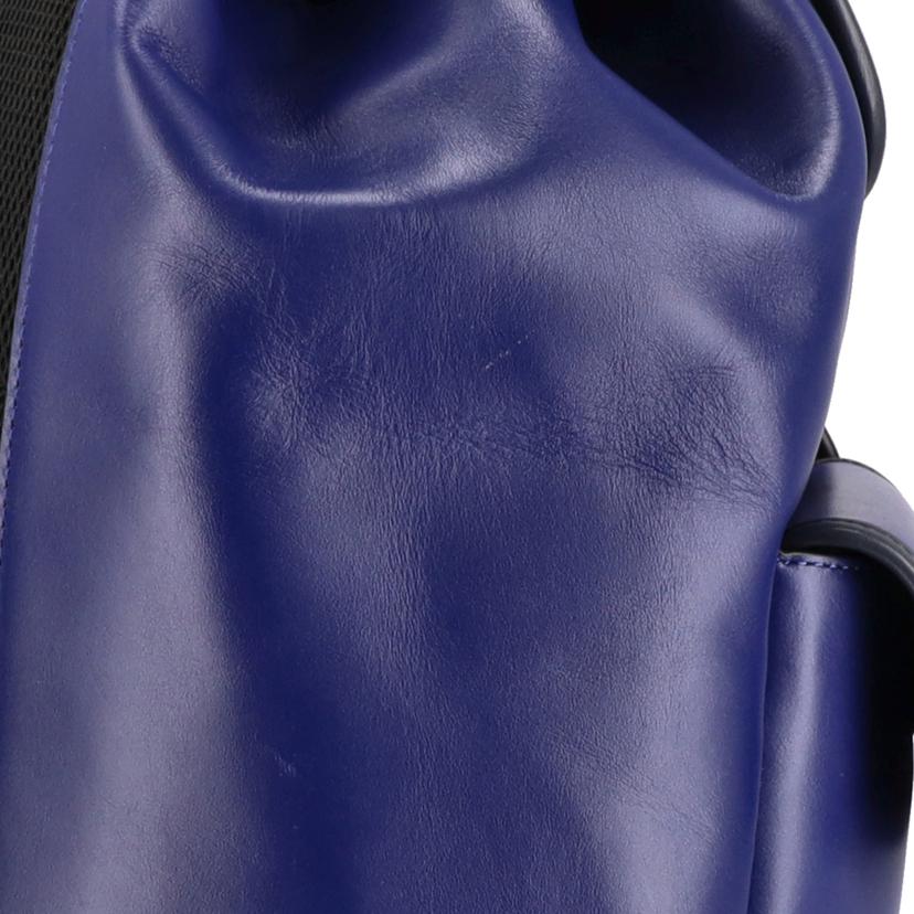 COACH コーチ/ヘリテージレザーバックパック/ネイビー/C2902//M20**/Aランク/75