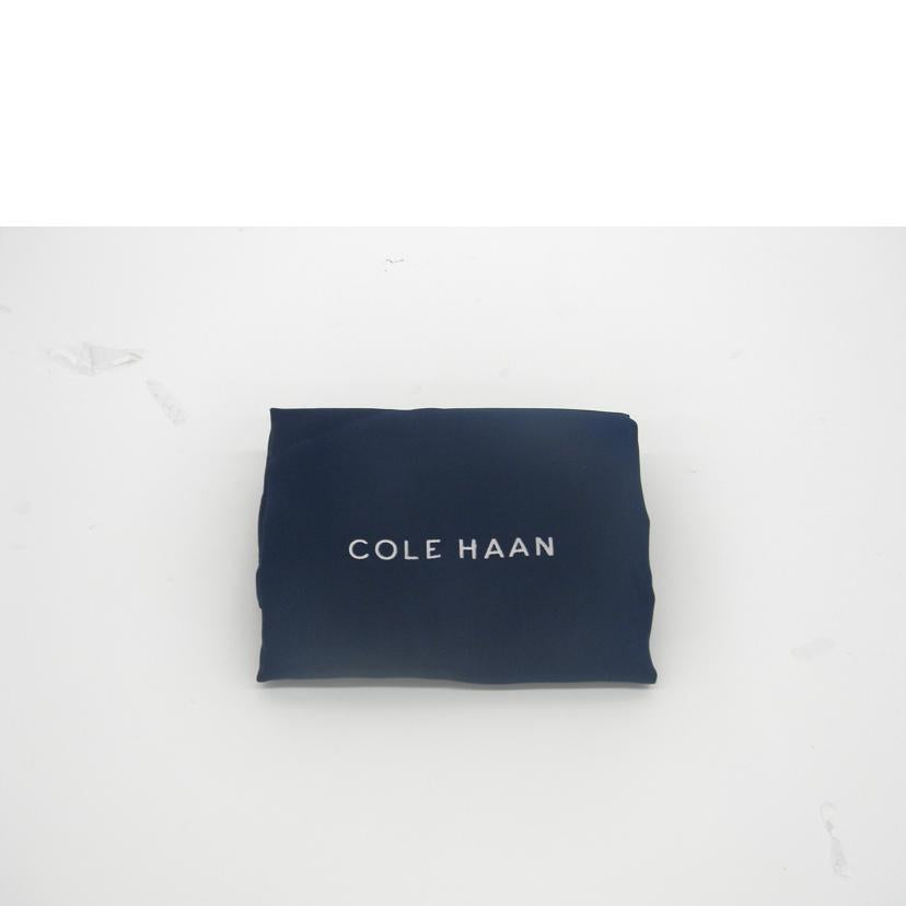 COLE HAAN コールハン/2WAYショルダーバッグ/U06736//Sランク/75