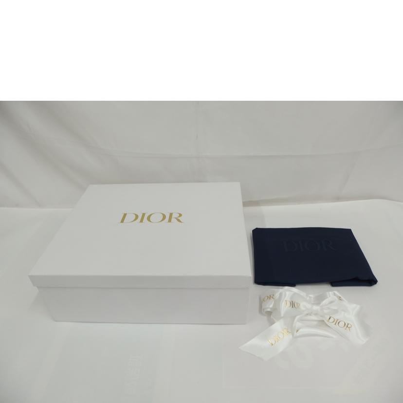 DIOR ディオール/メンズボストン2WAYハンド/ライトグレー//SAランク/82