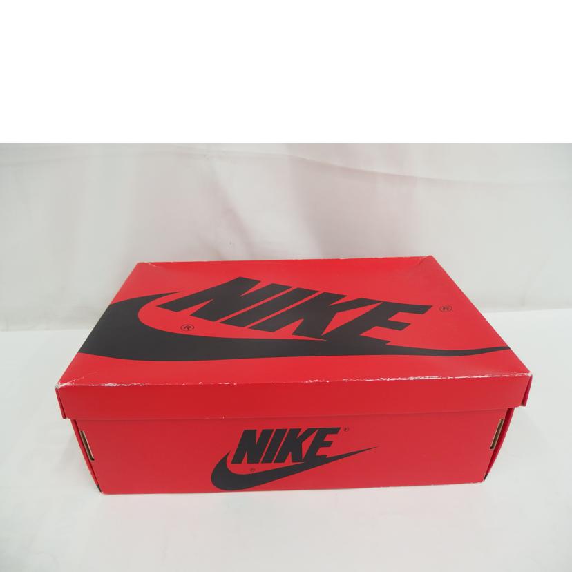 NIKE/AJ1 High OG Newstalgia/DJ4891-061//Bランク/82