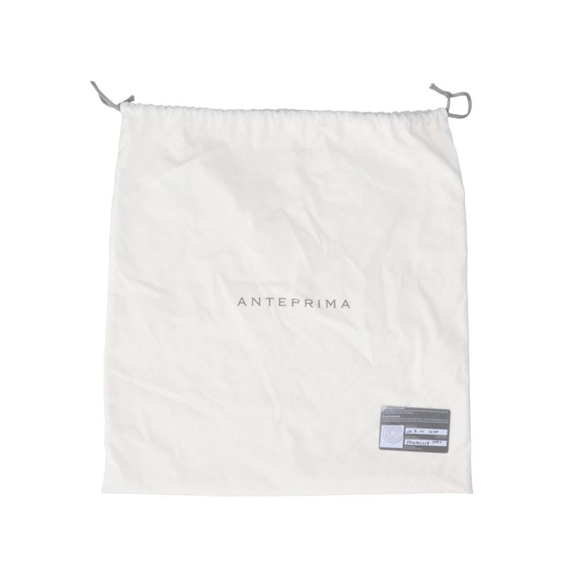 ANTEPRIMA アンテプリマ/ワイヤーバッグ/PB24FV23J8//Aランク/09