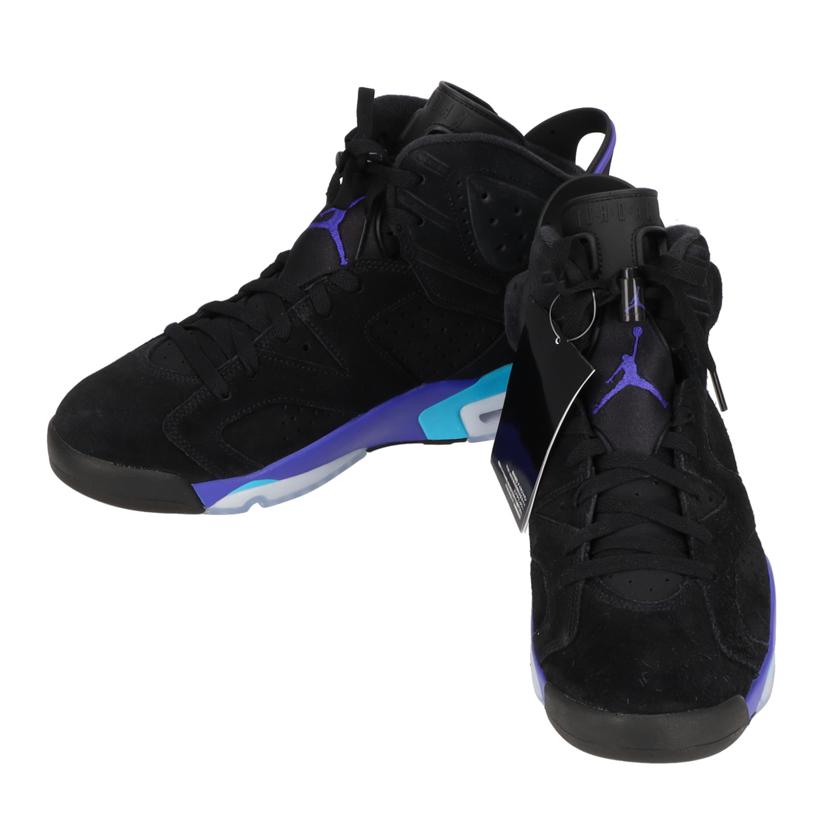 NIKE ナイキ/NIKE AIR JORDAN 6 RETRO/CT8529-004//Sランク/19