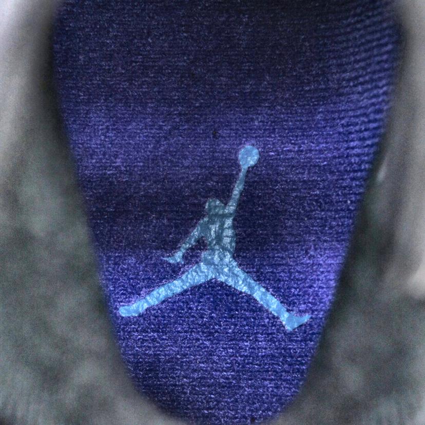 NIKE ナイキ/NIKE AIR JORDAN 6 RETRO/CT8529-004//Sランク/19