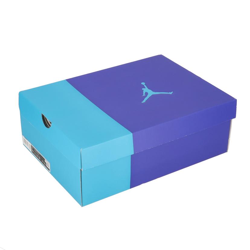 NIKE ナイキ/NIKE AIR JORDAN 6 RETRO/CT8529-004//Sランク/19