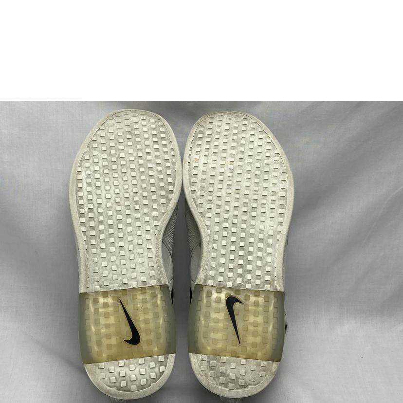 NIKE/Air FEAR OF GOD 1 RAID LIGHT BONE/AT8087-001//Bランク/52