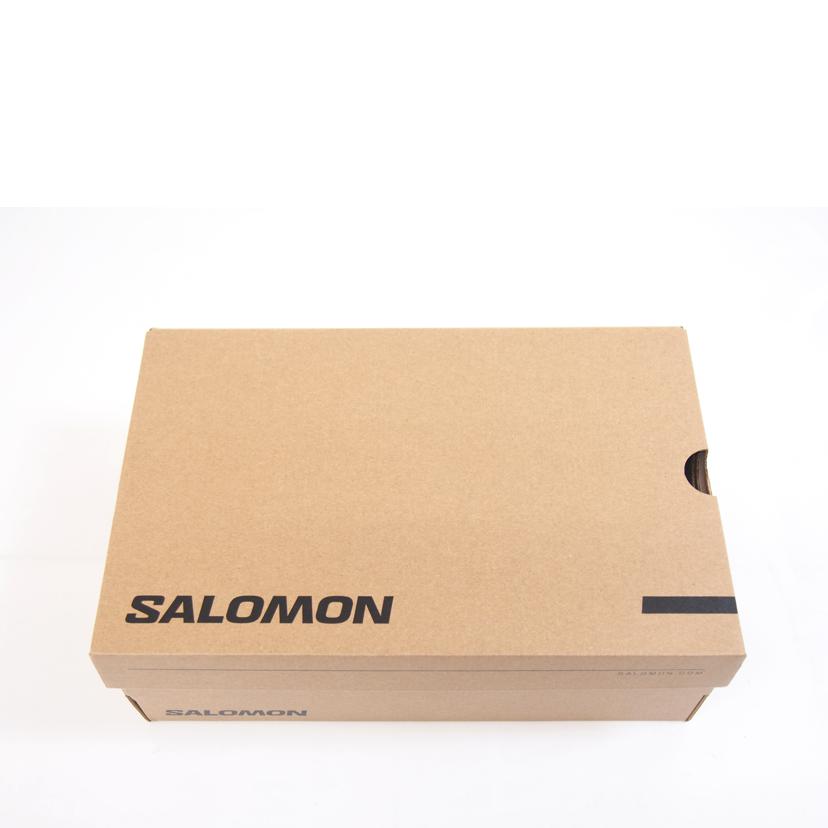 SALOMON サロモン/X ULTRA 360 LTR GTX/475712//SAランク/71