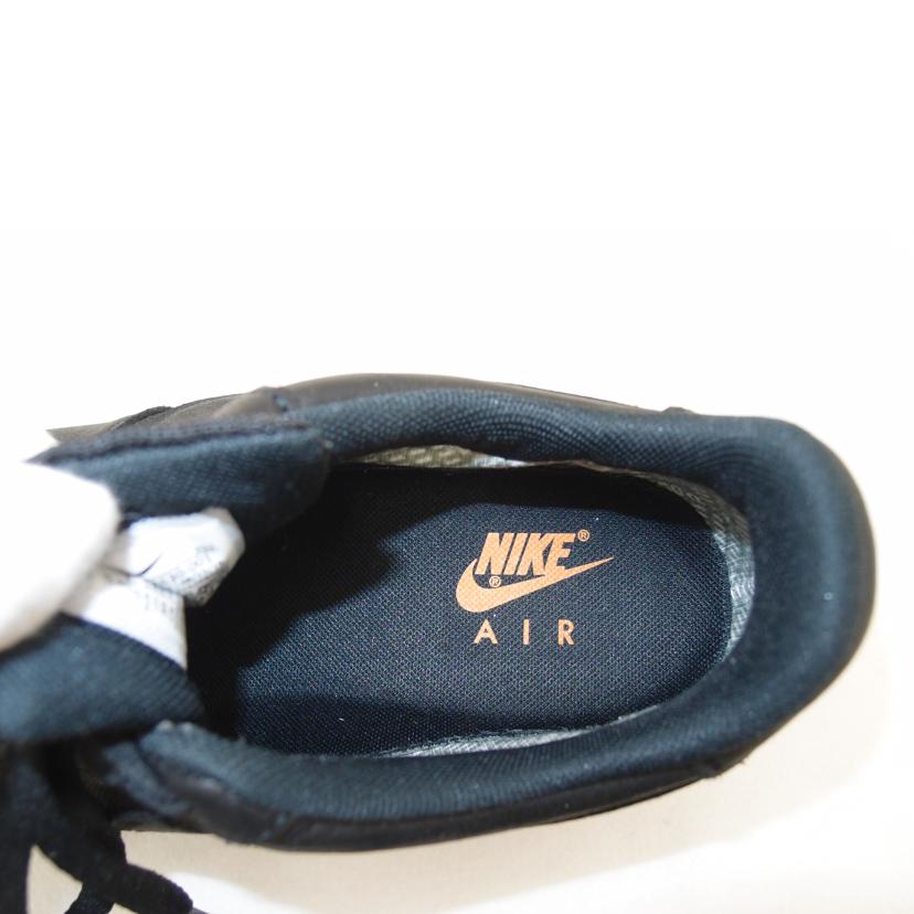 NIKE ナイキ/NIKE AIR FORCE1 GORE-TEX/CK2630-001//Aランク/69