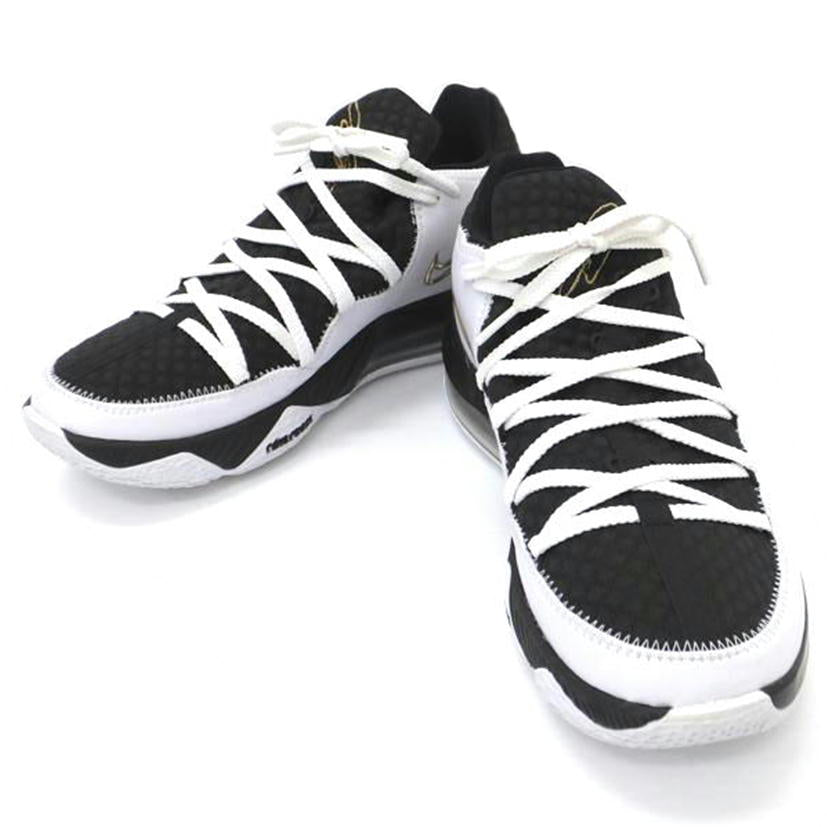 NIKE ナイキ/LEBRON 17 LOW/28.5/CD5007-101//ABランク/88