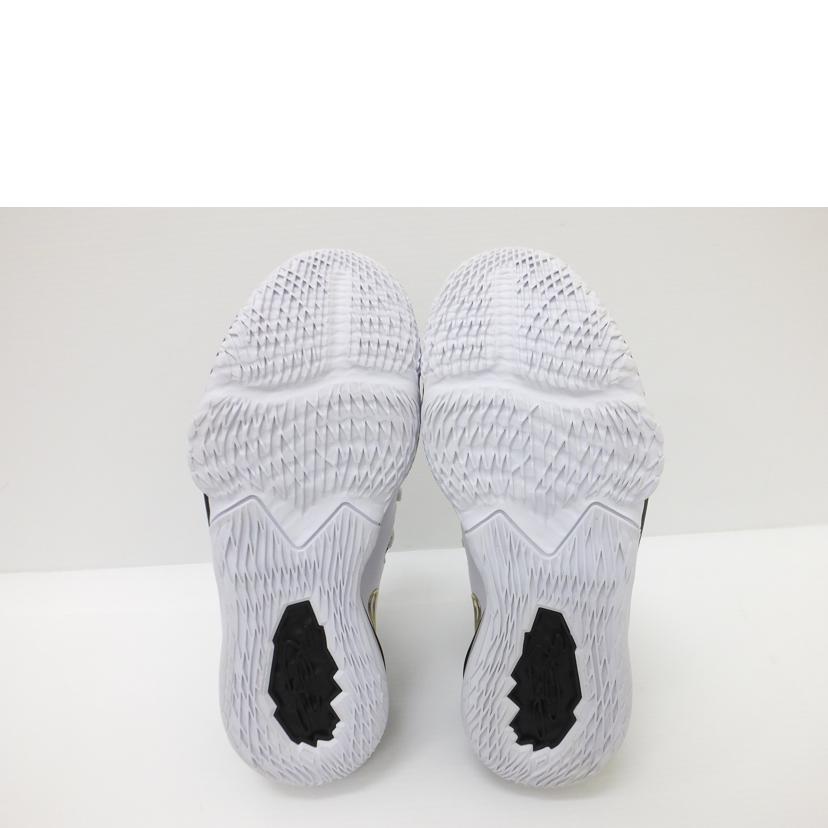 NIKE ナイキ/LEBRON 17 LOW/28.5/CD5007-101//ABランク/88