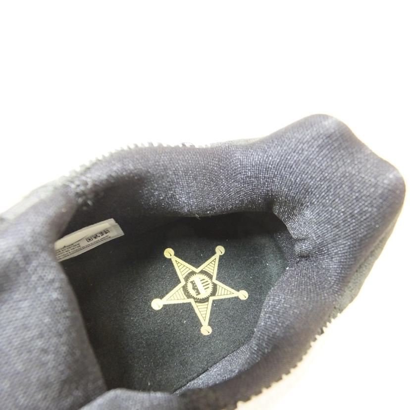 NIKE ナイキ/LEBRON 17 LOW/28.5/CD5007-101//ABランク/88