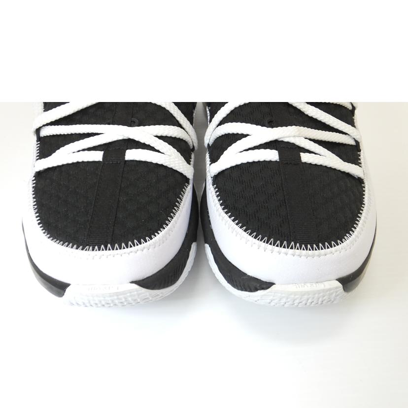 NIKE ナイキ/LEBRON 17 LOW/28.5/CD5007-101//ABランク/88