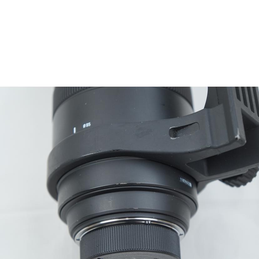 SIGMA シグマ/レンズ/50-500/4.5-6.3APO/DG 50-500mm F4.5-6.3 APO HSM//11859632/ABランク/67