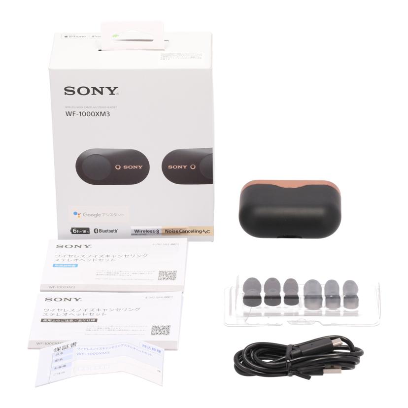 SONY ソニー/イヤホン/WF-1000XM3//5497984/Bランク/06