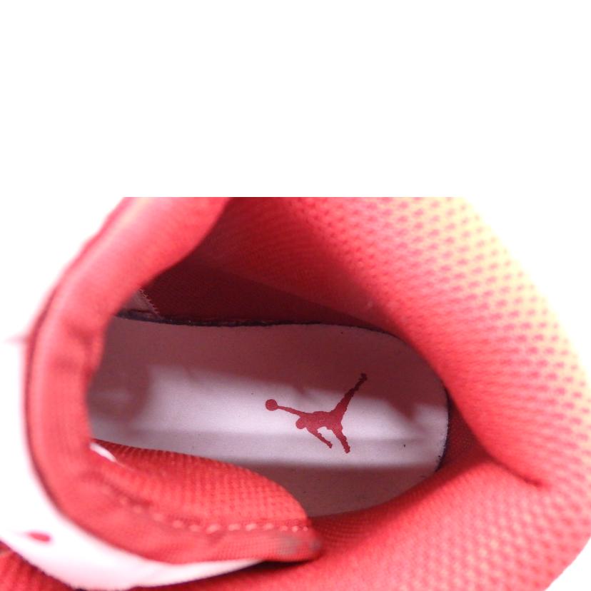 NIKE ナイキ/ Air Jordan 1 Mid SE/FJ3458-160//Aランク/76