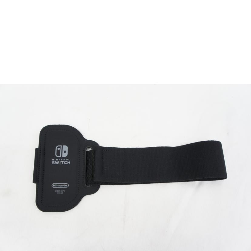 Nintendo 任天堂/Nintendo Switch Sports/SWITCH//Bランク/05