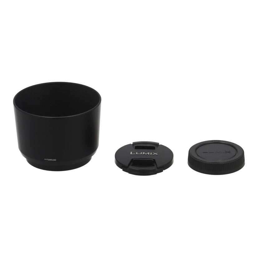 Panasonic パナソニック /交換レンズ/45-200mm/H-FS045200//XT0LB002225/Bランク/71