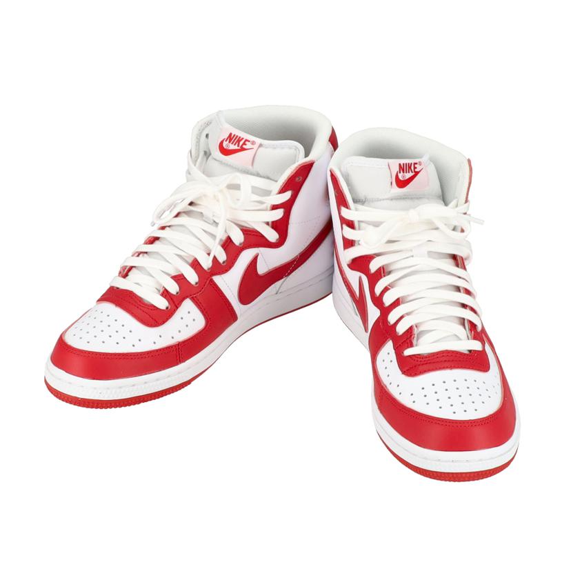 NIKE ナイキ/NIKE TERMINATOR HIGH/FJ4454-100//Sランク/78