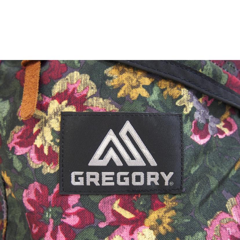 GREGORY グレゴリー/GREGORY FINEDAYバックパック/Aランク/71