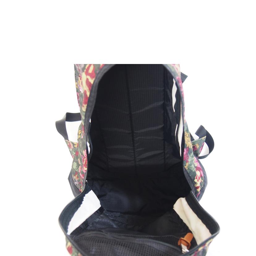 GREGORY グレゴリー/GREGORY FINEDAYバックパック/Aランク/71