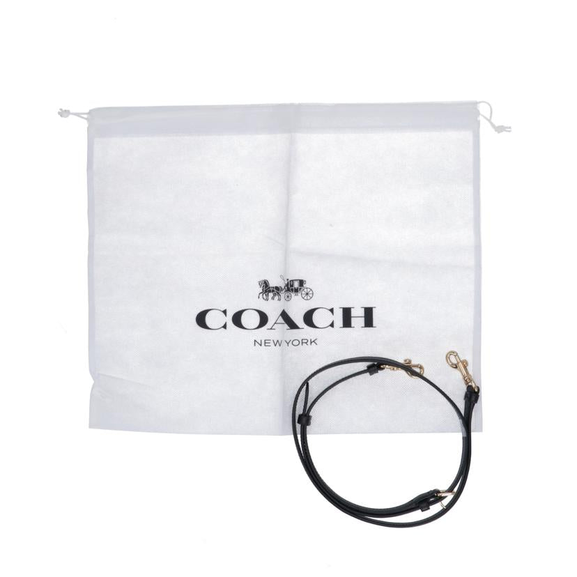 COACH コーチ/ラグジュアリーシグネチャー2WAYショルダー/C4250//E21**/Aランク/05