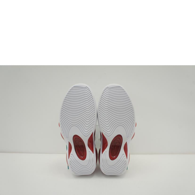 NIKE NIKE/エア ズーム フライト 95/DX1165-100//00196149231419/Aランク/85