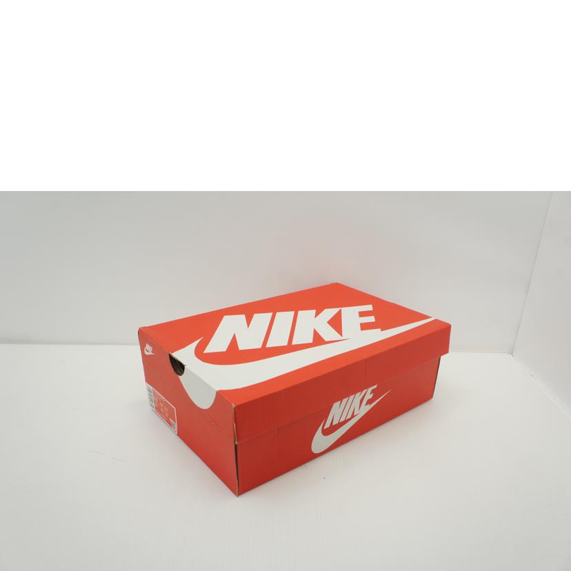NIKE NIKE/エア ズーム フライト 95/DX1165-100//00196149231419/Aランク/85