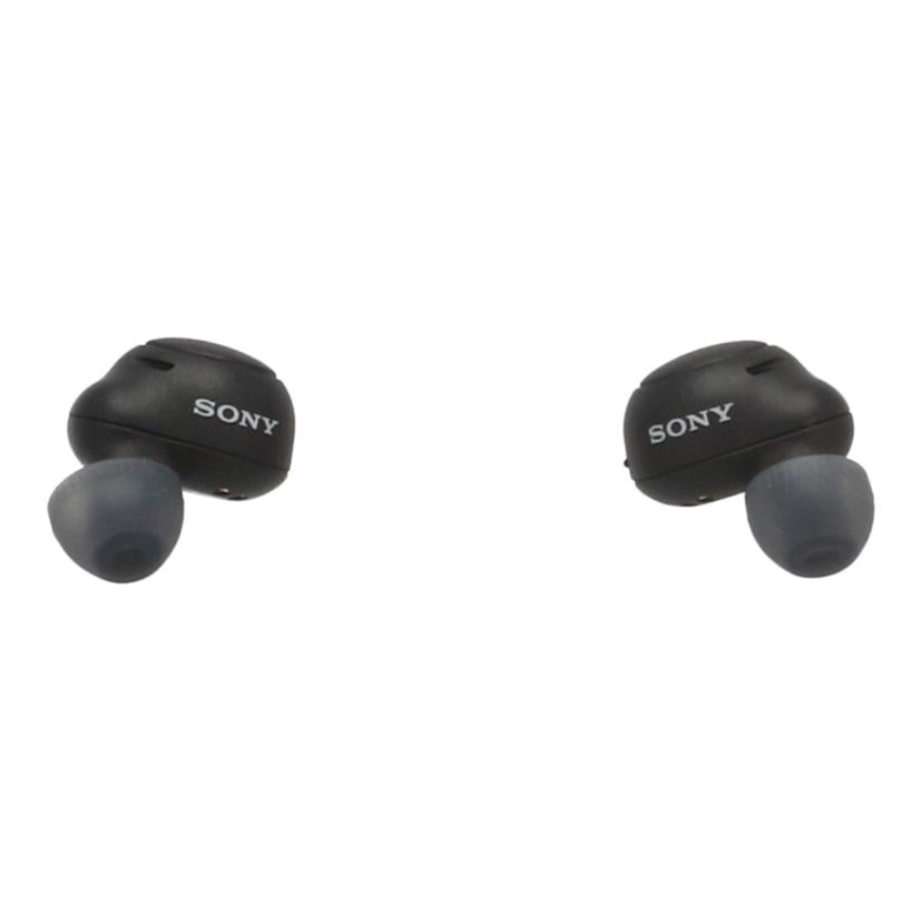 SONY ソニー/ワイヤレスイヤホン/WF-C500//1024829/Bランク/62