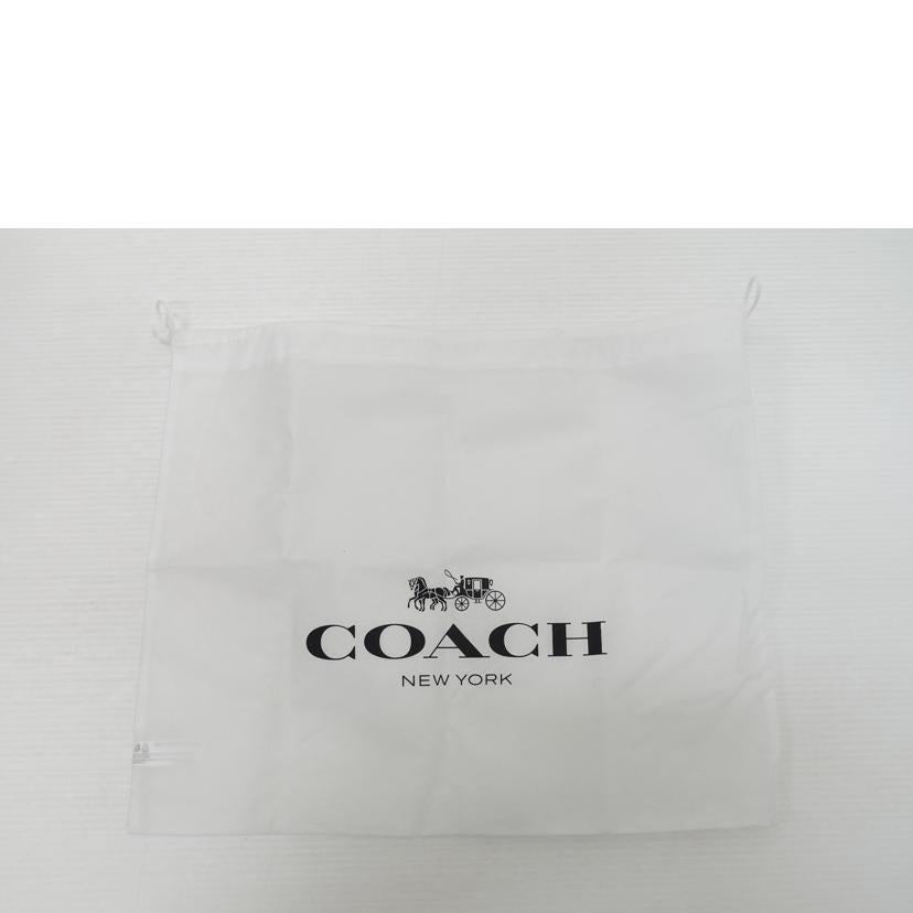 COACH コーチ/ハドリーバックパック/CBH09//C25**/Aランク/88