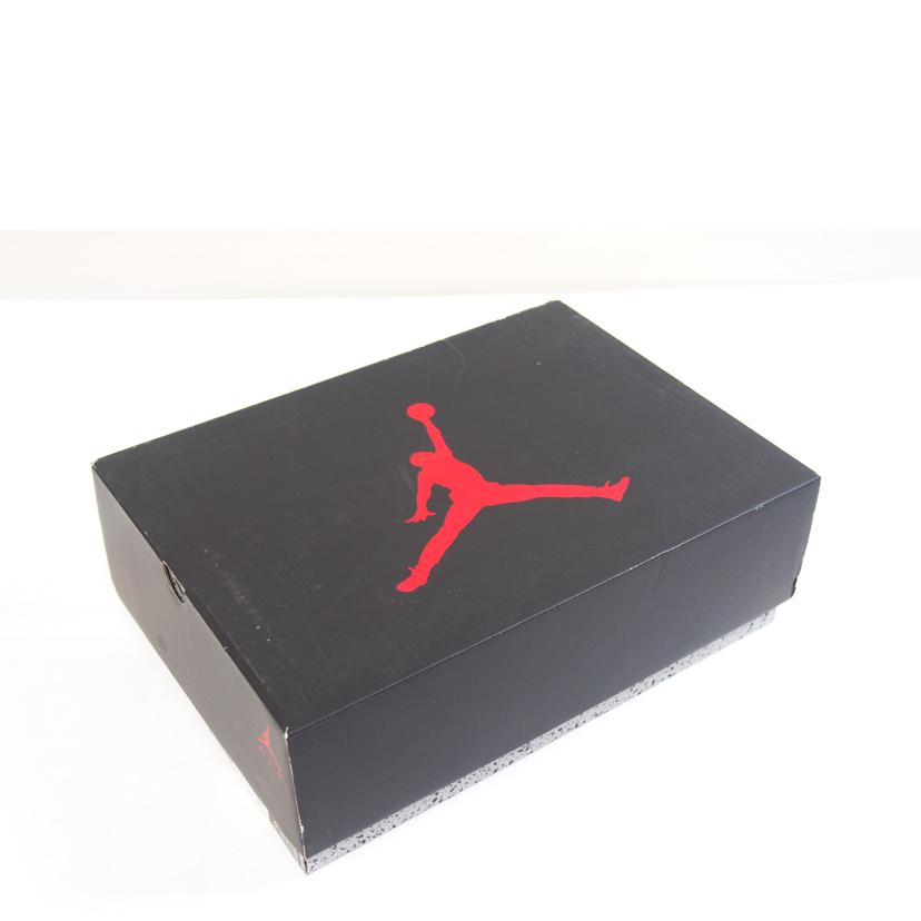 NIKE ナイキ/NIKE AIR JORDAN 5 RETRO/DC1060-100//Bランク/71