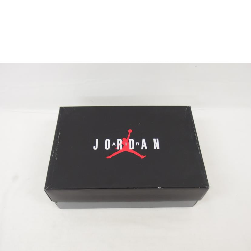 NIKE ナイキ/エアジョーダン10/レトロ/オーランド/スニーカー/310805-108//Aランク/18