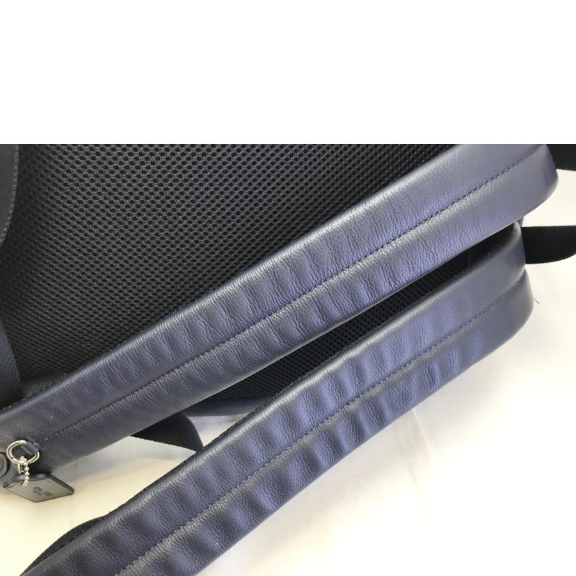 COACH コーチ/チャールズカーフ パックバック/F54135//J16**/Bランク/51